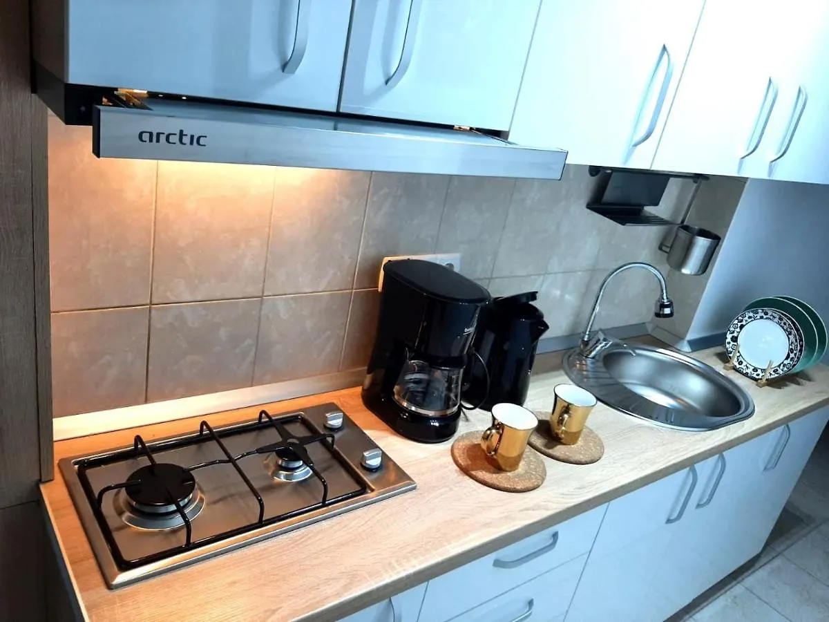 Ultracentral Studio For 4 Bükreş Romanya